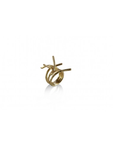 EFIA Ring prix